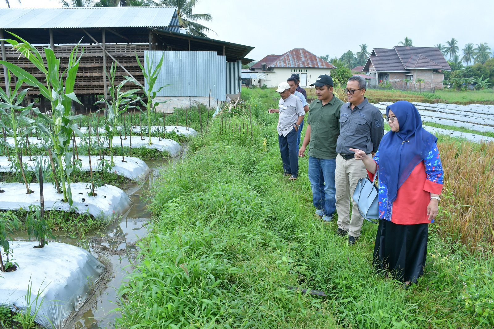ketua-tp-pkk-agam-pelajari-pengembangan-ketahanan-pangan-di-koto-panjang-padang-payakumbuh