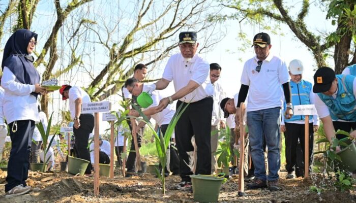 Gubernur Mahyeldi Pimpin Aksi Tanam 1.000 Pohon Pulihkan Hutan Kota Malvinas