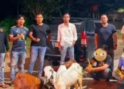 polres-sawahlunto-tangkap-dua-pelaku-pencurian-ternak-warga