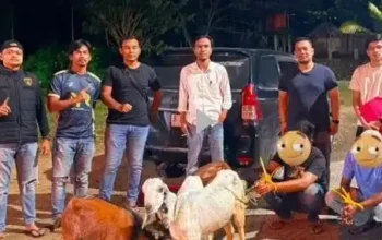 Tim Macan Bara Polres Sawahlunto Ringkus Dua Pelaku Pencurian Ternak