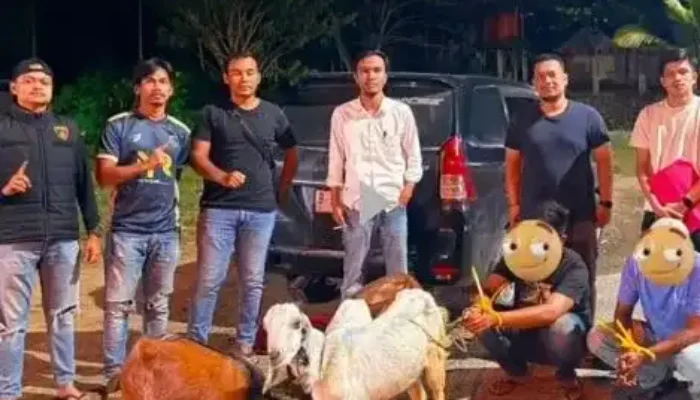 Tim Macan Bara Polres Sawahlunto Ringkus Dua Pelaku Pencurian Ternak