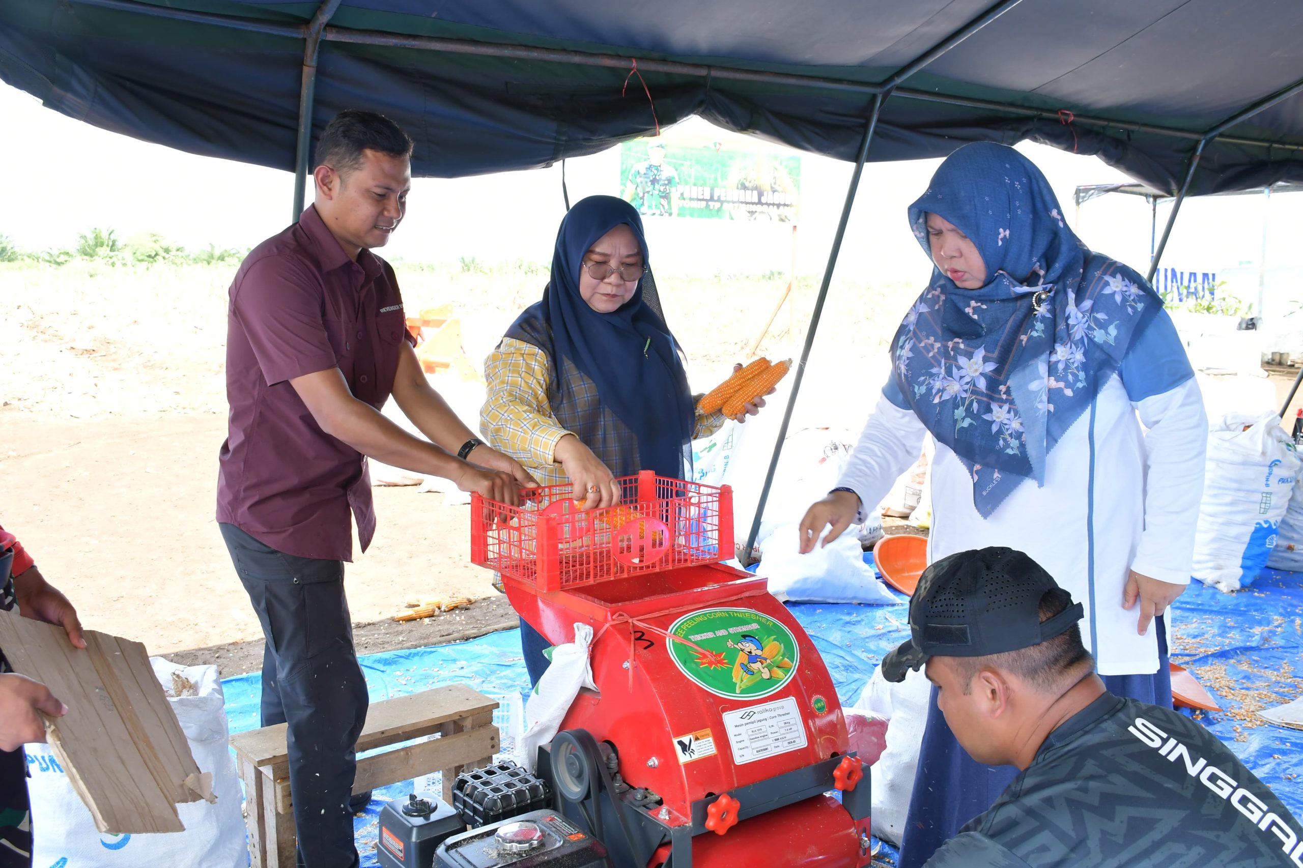 ketua-tp-pkk-agam-tinjau-kompi-pertanian-yonif-tp-897-singgalang,-dorong-optimalisasi-pengelolaan-lahan