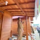percepat-hunian-penyintas,-pemkab-aceh-tamiang-sepakati-pelepasan-lahan-hgu