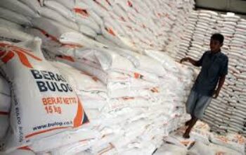Bulog Sidak Pasar Raya Padang Jamin Stabilitas Stok dan Harga Pangan