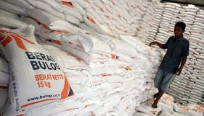 Bulog Sidak Pasar Raya Padang Jamin Stabilitas Stok dan Harga Pangan