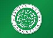 musda-mui-sumbar-dinilai-tak-becus,-nu-dan-perti-cabut