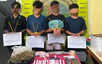 Polres Pesisir Selatan Bekuk Empat Remaja Pengedar Ganja di Lengayang