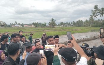 Pemprov Sumbar Terapkan Pertanian Modern untuk Genjot Produktivitas Pangan Daerah