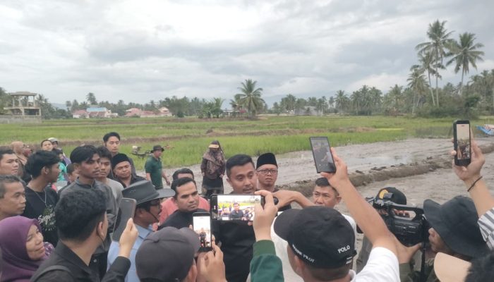 Pemprov Sumbar Terapkan Pertanian Modern untuk Genjot Produktivitas Pangan Daerah