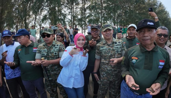 Pemkab Pesisir Selatan Kolaborasikan Berbagai Pihak Lestarikan Hutan Mangrove Ampiang Parak