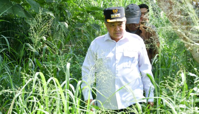Pemkab Agam Percepat Pembangunan Dam Irigasi di Baso Antisipasi Anomali Iklim