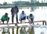 satgas-prr-percepat-pemulihan-ekonomi-aceh-lewat-sektor-tambak-kopi