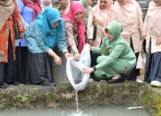 tinjau-tmmd-di-palupuah,-pemkab-agam-tegaskan-pentingnya-persatuan-dalam-membangun-daerah