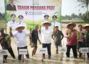 Lahan Pertanian Aceh Kembali Produktif, Satgas PRR Percepat Rehabilitasi 18 Kabupaten