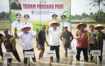 Lahan Pertanian Aceh Kembali Produktif, Satgas PRR Percepat Rehabilitasi 18 Kabupaten