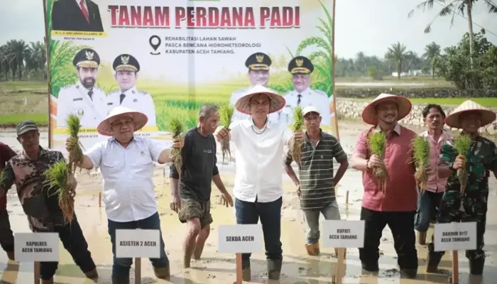 Lahan Pertanian Aceh Kembali Produktif, Satgas PRR Percepat Rehabilitasi 18 Kabupaten