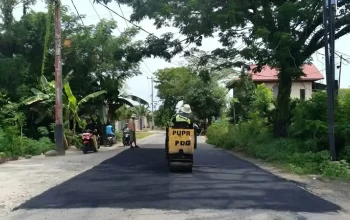 Dinas PUPR Padang Gencarkan Perbaikan Jalan demi Kelancaran Mobilitas Warga