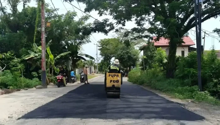 Dinas PUPR Padang Gencarkan Perbaikan Jalan demi Kelancaran Mobilitas Warga