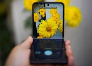 hp-layar-lengkung-sudah-ganti-display-tapi-muncul-garis?-kesalahan-pemasangan-ini-sering-nggak-disadari