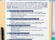 walikota-fadly-amran-terbitkan-surat-edaran-mitigasi-kabut-asap,-warga-padang-diminta-perkuat-perlindungan-kesehatan