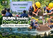 bukan-sekadar-menanam-pohon,-ini-strategi-bp-bumn-dan-perhutani-wujudkan-hutan-lestari