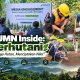 bukan-sekadar-menanam-pohon,-ini-strategi-bp-bumn-dan-perhutani-wujudkan-hutan-lestari