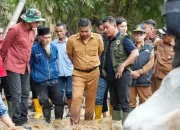 wagub-sumbar-koordinasikan-data-bmkg-antisipasi-longsor-susulan-di-solok