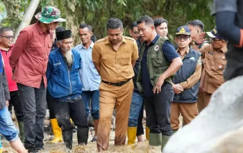 Wagub Sumbar Perintahkan Tim Tanggap Darurat Antisipasi Longsor Susulan di Solok