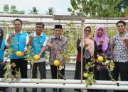 pln-dukung-kube-mego.id-kembangkan-pertanian-melon,-maigus-nasir:-jadi-percontohan-bagi-kelompok-lain