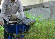 bupati-agam-tinjau-jalan-rusak,-sejumlah-ruas-prioritas-perbaikan