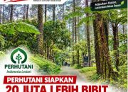 perhutani-siapkan-20-juta-lebih-bibit-untuk-musim-tanam-2026