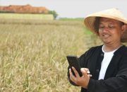 hp-murah-jadi-andalan-petani,-ini-spesifikasi-penting-yang-perlu-diperhatikan-sebelum-membeli