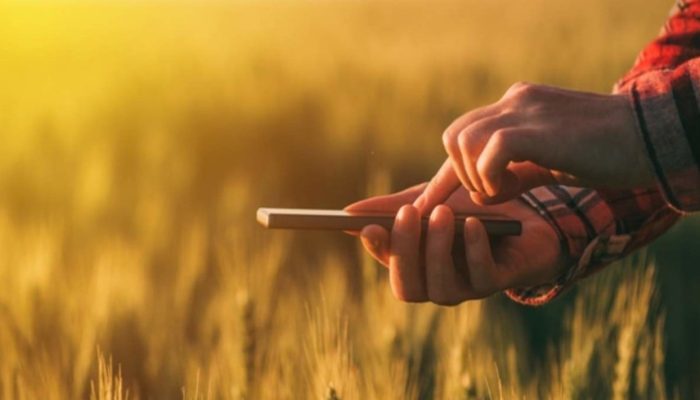 Petani Manfaatkan Teknologi Ponsel Pintar untuk Tingkatkan Produktivitas Pertanian Indonesia