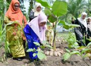 dari-pekarangan-untuk-keluarga,-ny-merry-dorong-dasawisma-gemar-menanam