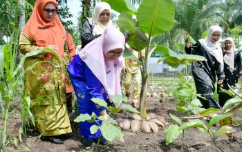 Ny. Merry Ajak Dasawisma Manfaatkan Pekarangan Rumah untuk Ketahanan Pangan