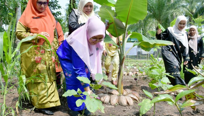 Ny. Merry Ajak Dasawisma Manfaatkan Pekarangan Rumah untuk Ketahanan Pangan