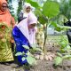 dari-pekarangan-untuk-keluarga,-ny-merry-dorong-dasawisma-gemar-menanam