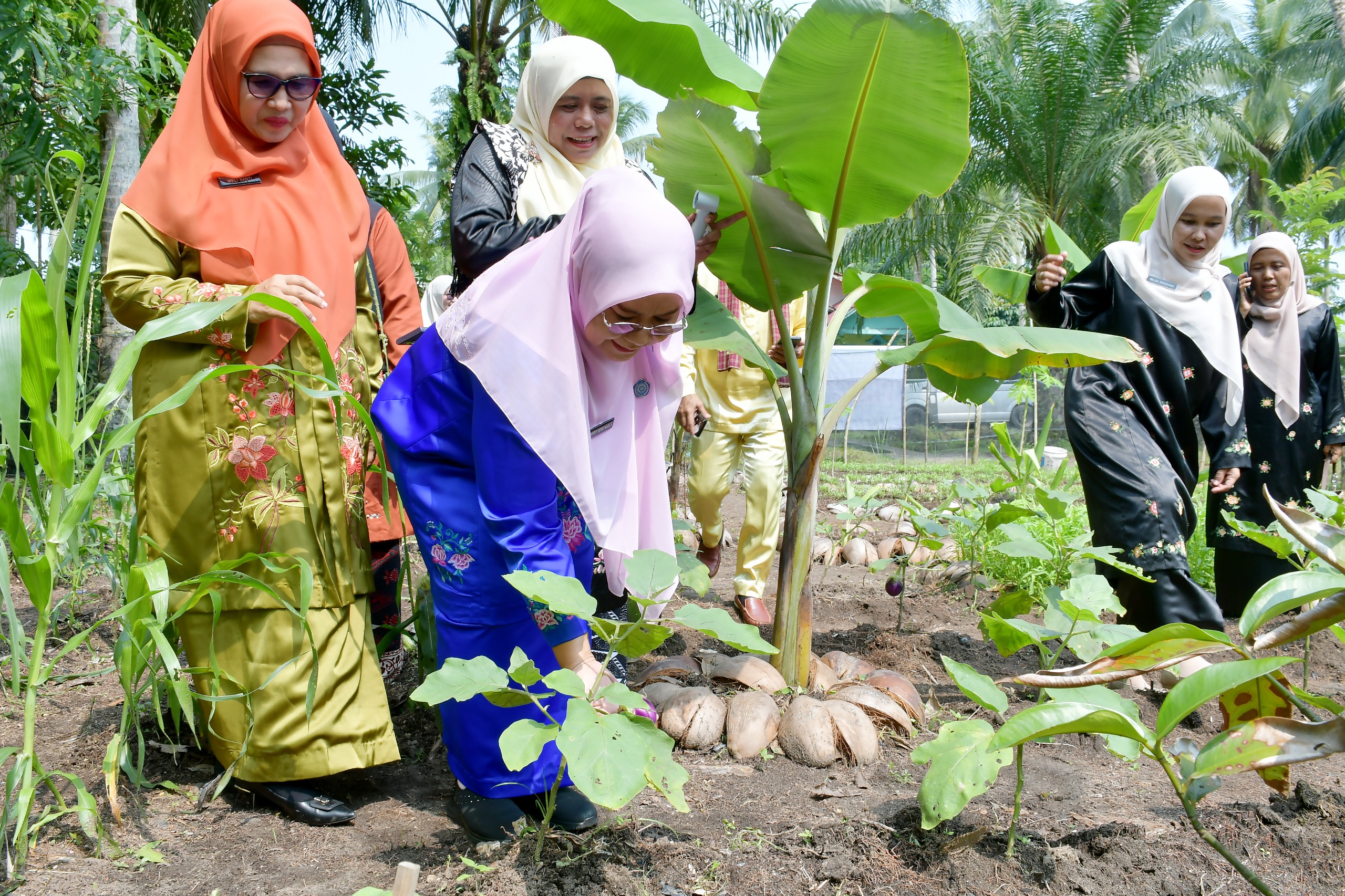 dari-pekarangan-untuk-keluarga,-ny-merry-dorong-dasawisma-gemar-menanam